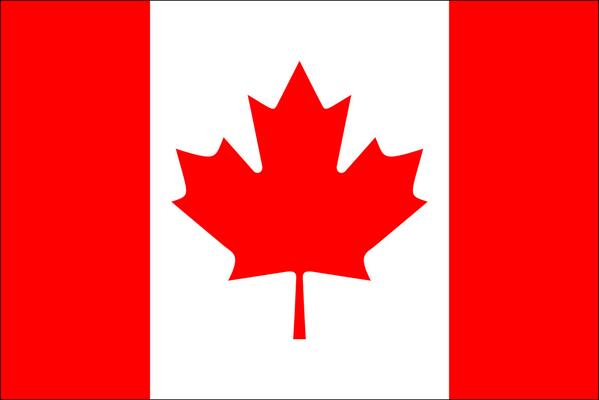 "#Russia soldiers training in #Canada given 24 h to leave country" ctvnews.ca/politics/russi… #putin #ukraine #crimea