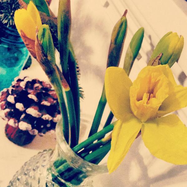 Trader Joe's is such a happy, happy place. #chorescanbefun #groceryshopping #traderjoes #daffodils
