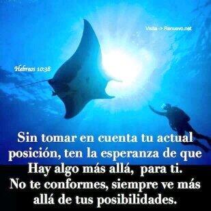 TETCAN tweet picture