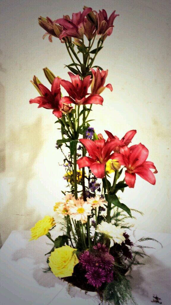 DECOIDEE tweet picture