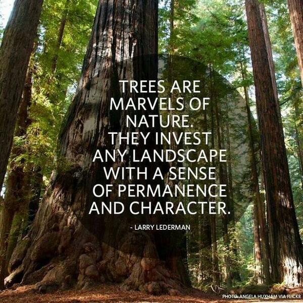 WWFHoB's tweet photo. Trees are marvels to nature. They invest any landscape with a sense of permanence and character. (Larry Lederman) http://t.co/mgFSPMgVXr