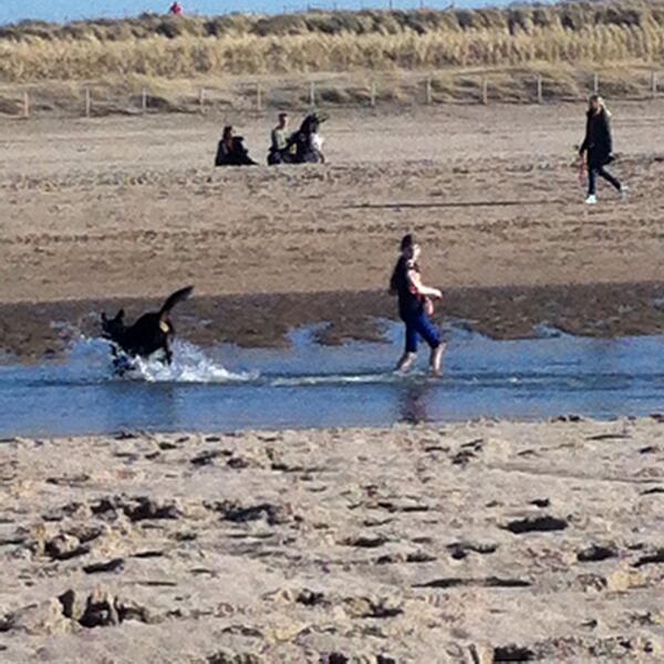 DanielleCleton's tweet photo. @Natuurvoorkids , aan het strand was het deze week al een beetje zomer http://t.co/tlLd0wBBKr