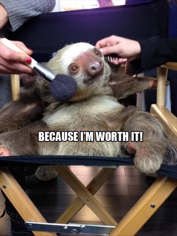 followthekeeper's tweet photo. Have you got that Friday feeling? #happyfriday #sloth http://t.co/H2EzhUzHy3