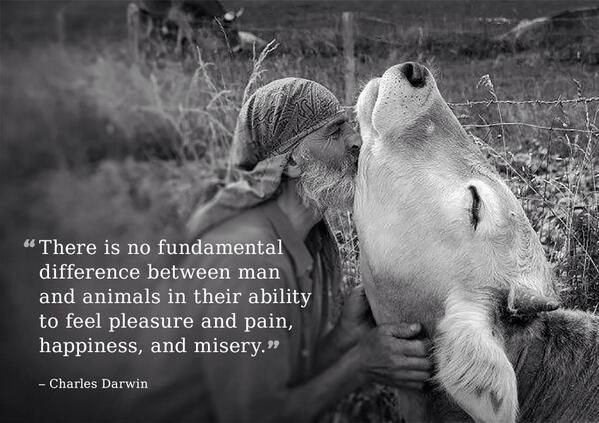 Mollymoky's tweet image. 