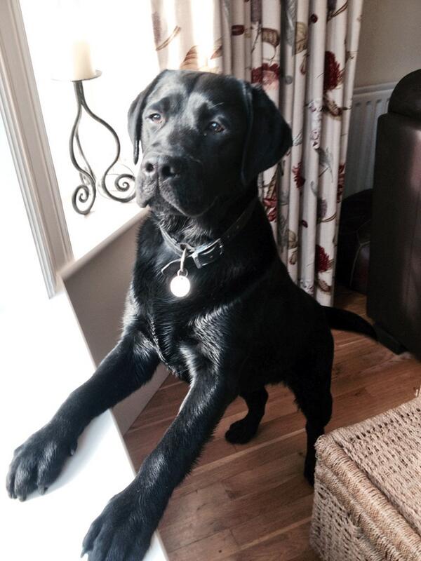 KateRyan91's tweet image. All grown up 💚