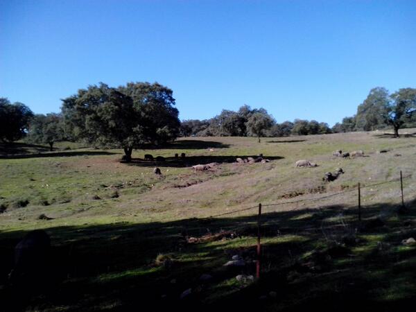 SANTAELENAIB tweet picture