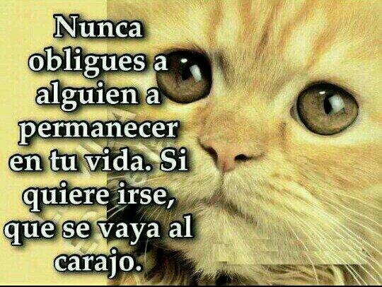 angelnietopaz's tweet photo. #BuenosDias bendito Viernes :))) http://t.co/nnWJ4jpRYU