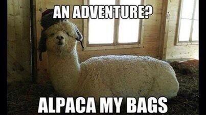 DailyFunFun's tweet image. 