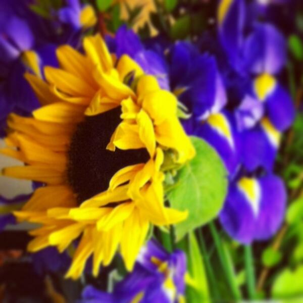 Van Gogh Alive tweet media