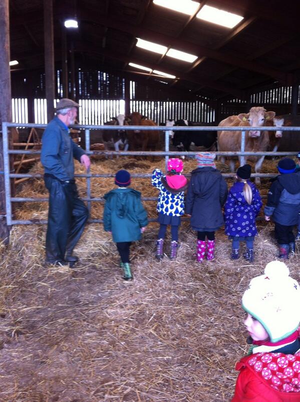 NightingalePps's tweet photo. Looking at the cows... http://t.co/EnT9OlMc6M