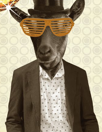 TrooperBenKs's tweet photo. Ok, I understand you're pumped it's FRIDAY, U look sweet Goat! But who's the #DDriver 2night? #UdrinkUdriveUlose http://t.co/nnOCpyku9J