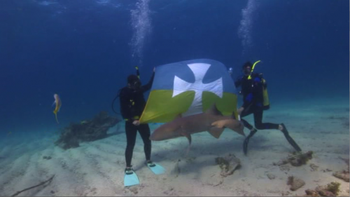 “<a href="/totalfratmove/">Total Frat Move</a>: Sigma Chi at the bottom of the ocean. #TFM ” Pretty bad ass <a href="/SigmaChiThetaXi/">Sac State Sigma Chi</a>