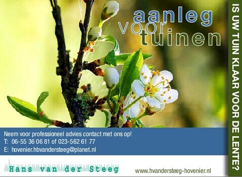 Hans van der Steeg tweet media