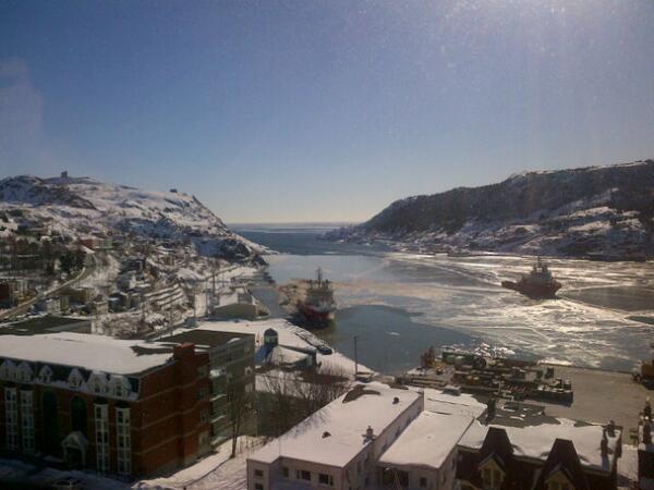 dangotoole's tweet photo. A Canadian postcard out my window this morning in St. John's. 2 minutes for looking so good Newfoundland. http://t.co/DVsS06bFAk