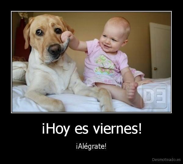 GalileaMontijo tweet picture