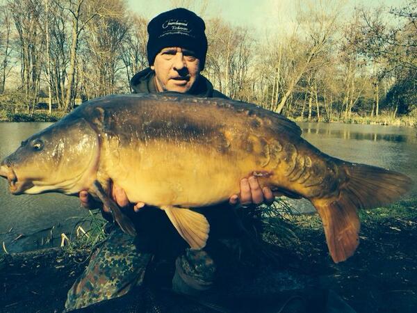 ChurchwoodFish's tweet photo. @MarkMs86 Head Baliff just had his new PB at 24-02lbs from Jenkins Lake. No surprise caught on a @CW_Baits White Pop. http://t.co/JqdtV13MX2