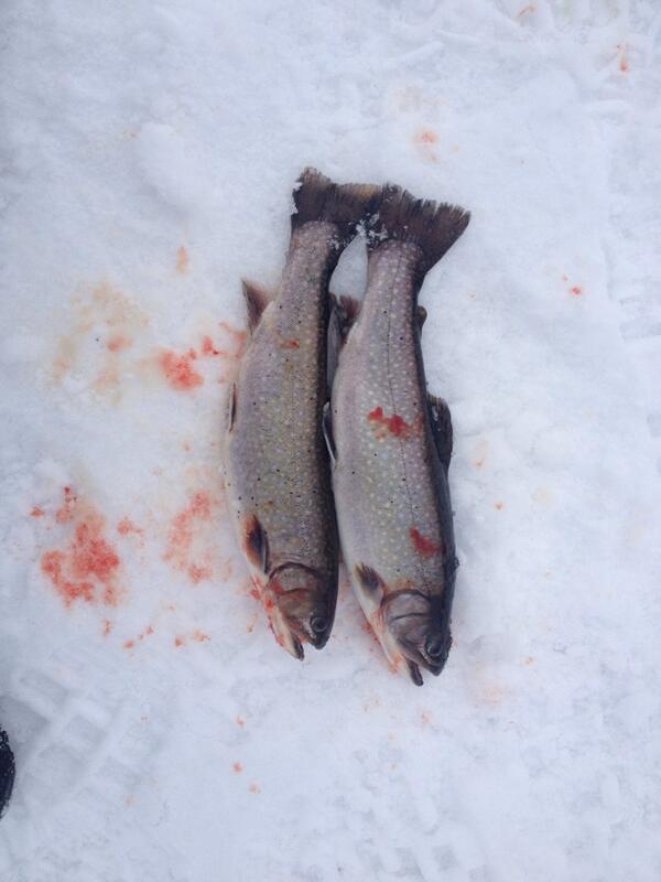 87Ran's tweet photo. “@DanTheSportsFan: #NotGoneFishing” there's always ice fishing, 30 bucks will get you a rod at Canadian tire lol http://t.co/1h82d8b9gg