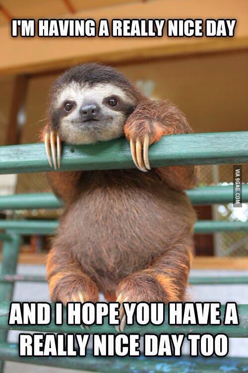9gag On Twitter It S Been A Good Day Http T Co Hpmo6czxlo Http