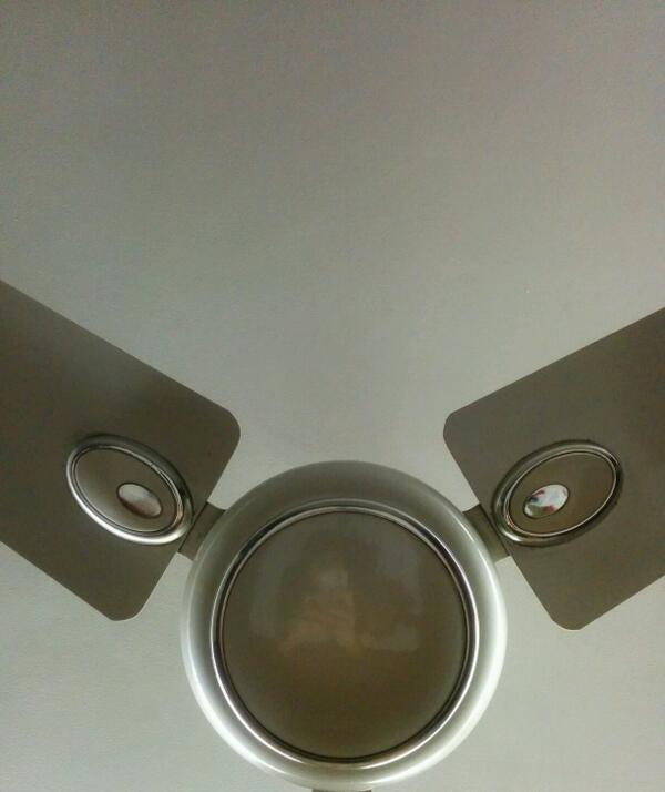 Haha fan. #SpotTheMau5  <a href="/deadmau5/">Goat lord</a>  <a href="/SunburnFestival/">Sunburn Festival</a>  #Deadmau5India