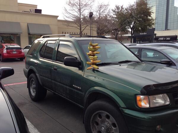 MooreDallas's tweet image. Go bananas!