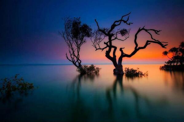 Gabriele Corno tweet media