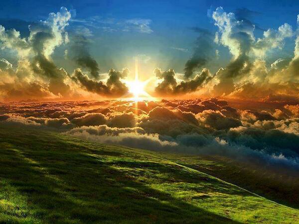 Gabriele Corno tweet media