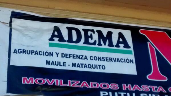 mavendanob's tweet image. #Defenza