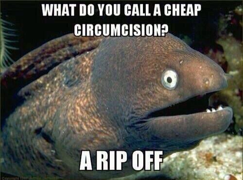 DailyFunFun's tweet image. 