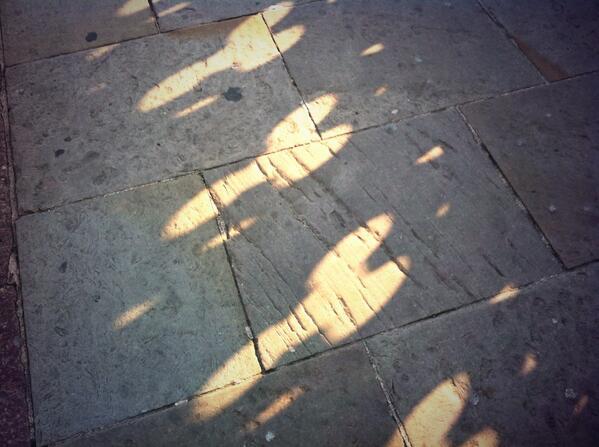 standardgemma's tweet image. @TownBridgeReal I like these interesting shapes created when sunlight filters through you in the afternoon