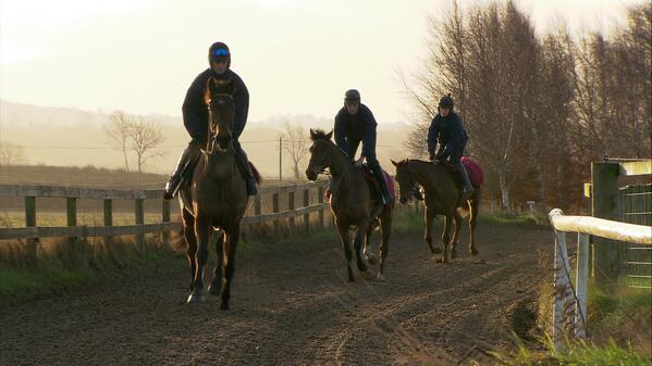 BluesilkTV's tweet photo. Pat @fatpahy152 Fahy &amp; his Cheltenham contenders will feature on CH4's Morning Line tomorrow, worth a watch. http://t.co/KqgMd6dJKT