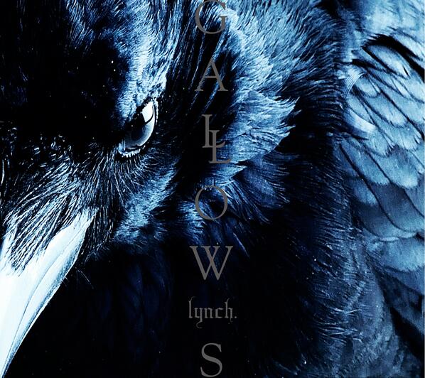 キングレコードj Pop J Rock Twitterissa Lynch New Album Gallows ジャケ写解禁 剥製ではなく 本物のカラスを使って撮影しました Http T Co 7z9y4o7vik Twitter