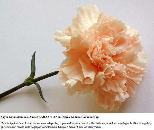 Kaymakamımız Sayın Ahmet KARAASLAN'ın Dünya Kadınlar Günü Mesajı;