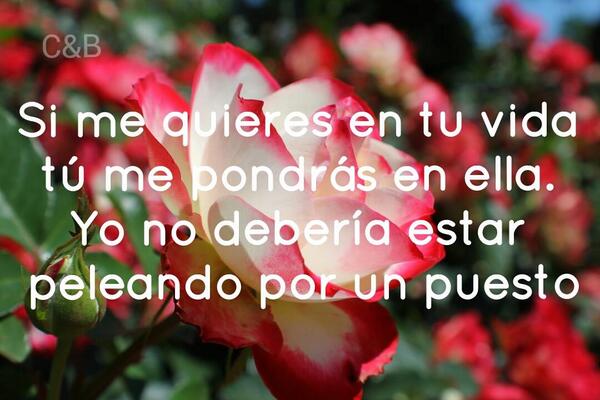 cadena (@juanccadena) on Twitter photo 