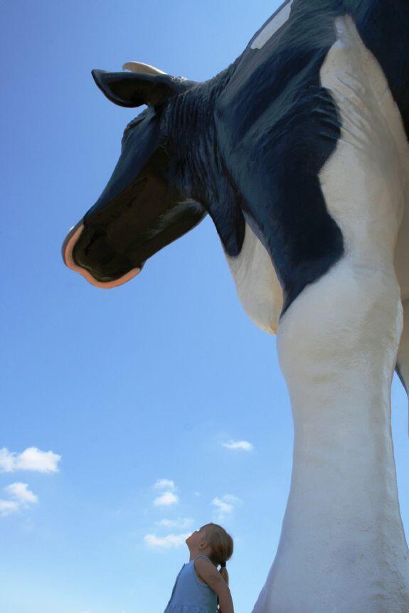 NorthDakota's tweet photo. Remember to "moooove" your clocks ahead tonight! #DaylightSavings #NDLegendary http://t.co/w3zgOa1OF9