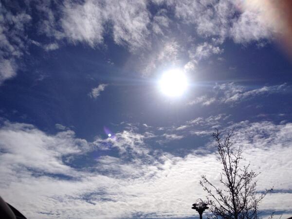 Soaking in the sun. #seattlelove