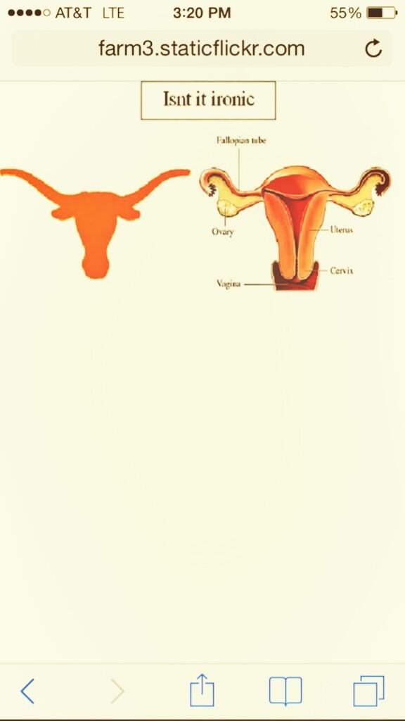 mass_polly's tweet image. Series opens up tonight vs #10Texas. Let's go!!!!!!!! #BeatTexas