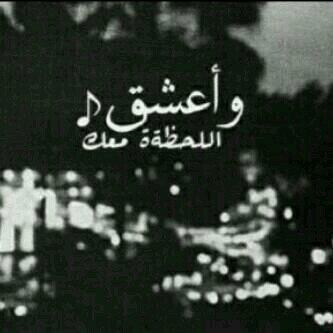 meshol331 tweet picture