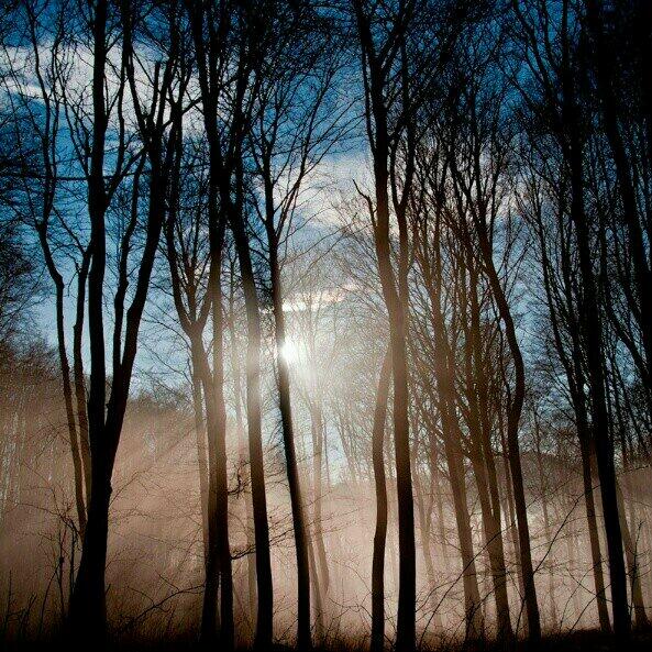 SnowinRI's tweet photo. ''You only ever grow as a human being if you're outside your comfort zone.''

~Percy Cerutty~

#quote http://t.co/AzAm742aYH