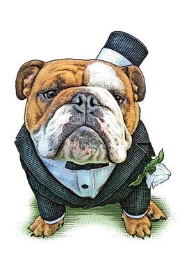 rubinafillion's tweet photo. The @WSJ has a front-page story about bulldog beauty contests, complete with dot drawing: http://t.co/SR289CZi0q http://t.co/ZXYpqVLoVE