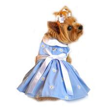 GroovyGravyPets's tweet photo. It's "Dress in Blue Day" to bring attention to colon cancer and celebrating the courage of those affected by it. http://t.co/9VRy5pyOWL