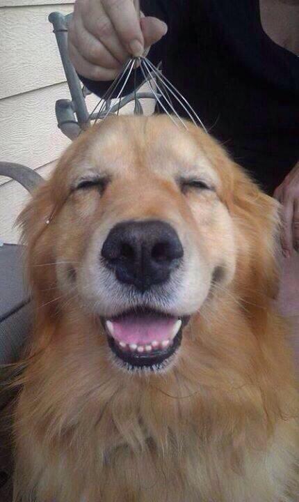 verolozanovl's tweet photo. Un poqito más http://t.co/j1SQDcXTWr