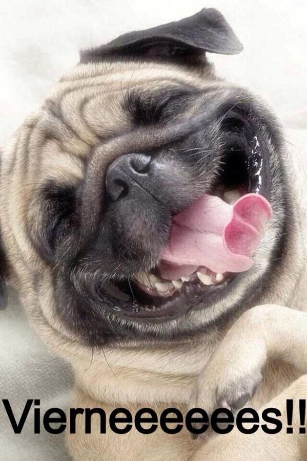 cucabalestra's tweet photo. “@danycorderoo: @cucabalestra http://t.co/4WKLhsqTC4” guauuuuuuu literal!!!!! 😆lvu Doll!