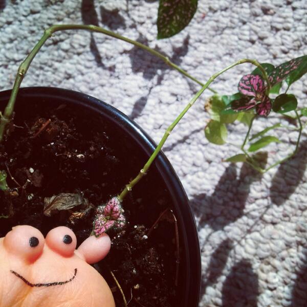 FriendsofStub's tweet image. Stub can't wait til spring #MarchBreak