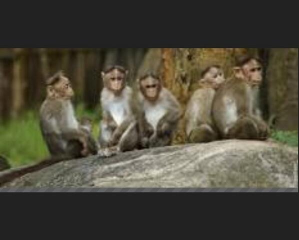 LA100BAND's tweet image. “@Nett_14: My squad #crvm all day ✊ http://t.co/CNk3ogqmfR”😂😂😂😂😂😂😂