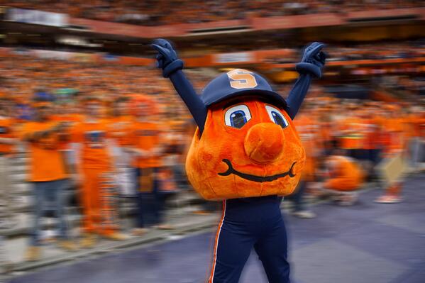 syracuse otto plush