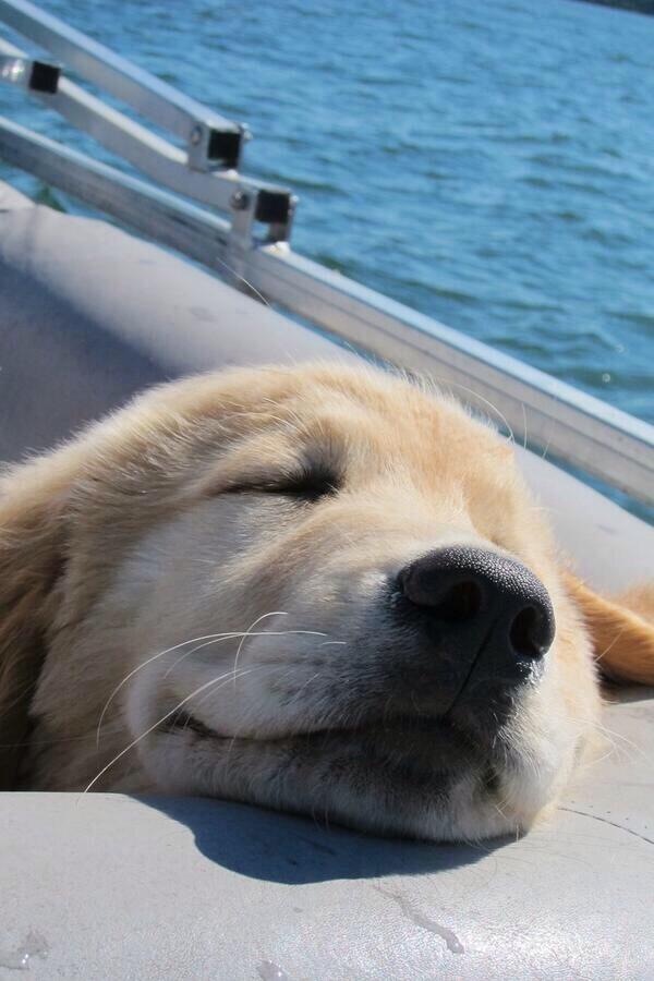 VTHALT's tweet image. Taking some time to relax! #SpringBreak