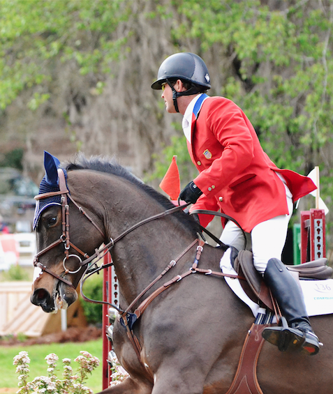 DuttonEventing's tweet photo. Bruce Duchossois' Mighty Nice was VERY excited to be out today at @RedHillsIntl. #eventinglive #rhht2014 http://t.co/5L05WbYPfc
