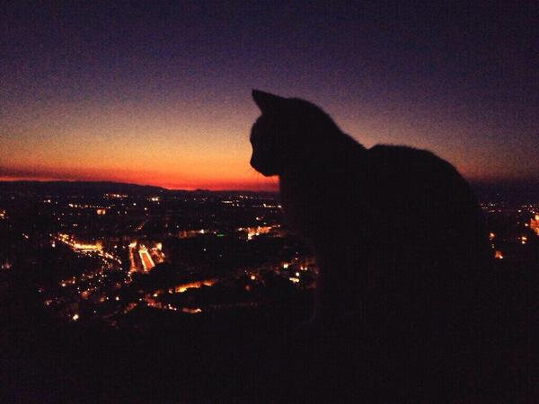 mfgranaina's tweet photo. Graná nunca defrauda y asombra a cualquiera!! Foto original de @isabeliya_h #mf http://t.co/dcjysqB7un