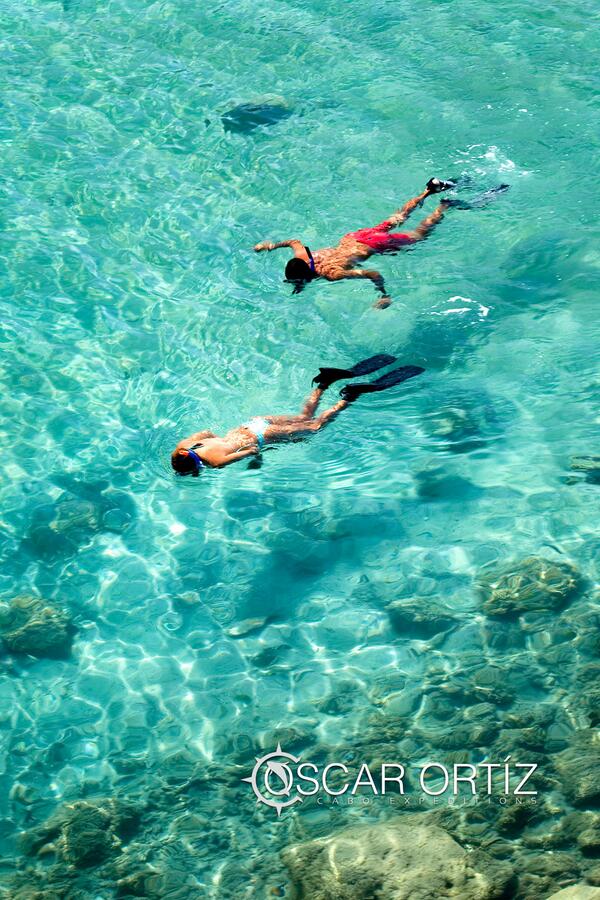 CaboExpeditions's tweet photo. Enjoy to the fullest the Sea of ​​Cortez! http://t.co/wmaMqGd5TG #Snorkeling  @LOSCABOSTOURISM http://t.co/adEqm76Koz