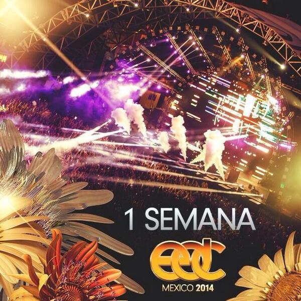 EDC_MEXICO's tweet photo. ¡A UNA SEMANA! ¿México estás PREPARADO para #EDCMx ?

Boletos -> http://t.co/sQN1CaQ8Es http://t.co/opBNuhdpPQ
